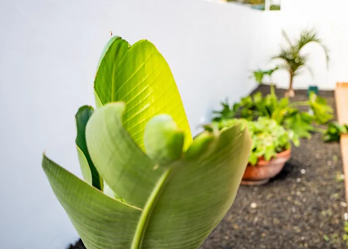 Ca' Marines プラヤ・オンダ